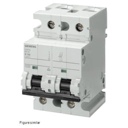 Magnetotérmico 400V 10kA, 2 polos, D, 100 A, T=70 mm
